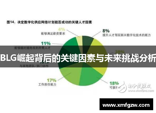 BLG崛起背后的关键因素与未来挑战分析