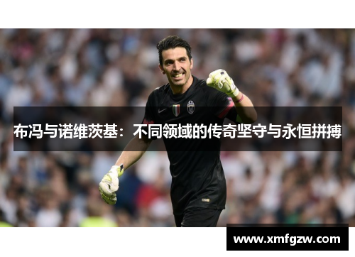 布冯与诺维茨基：不同领域的传奇坚守与永恒拼搏